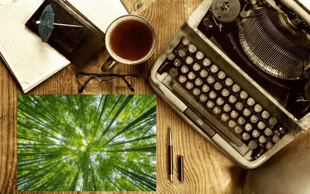 Arboretum Notes