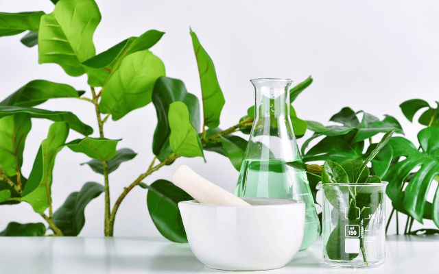 Green Extraction